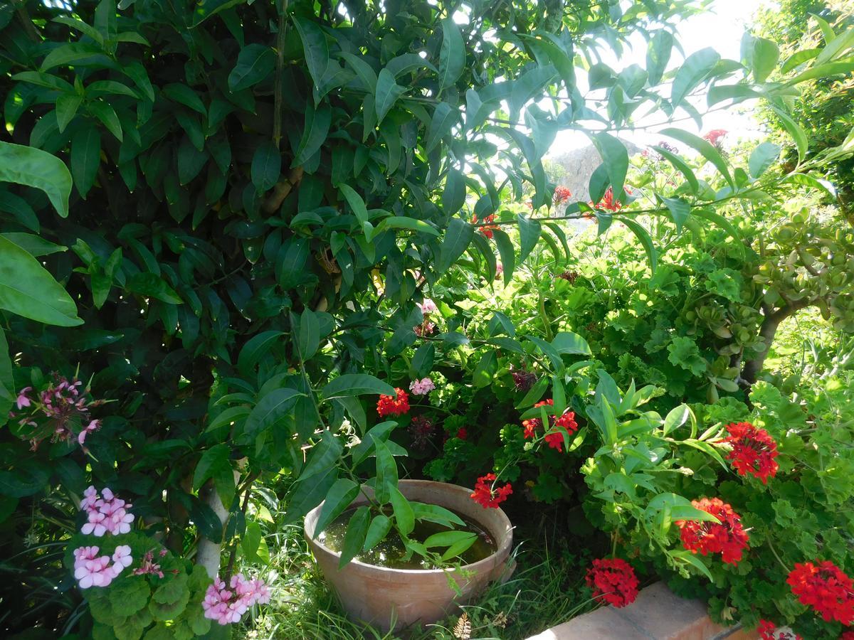 Stella Marina Sea & Sun Bed & Breakfast Cefalu Exterior photo